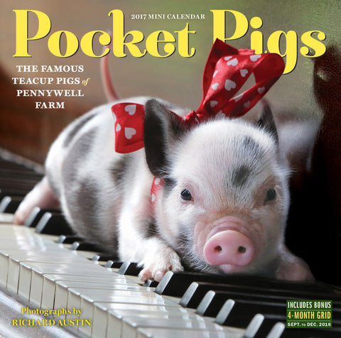 Pocket Pigs Mini Wall Calendar 2017