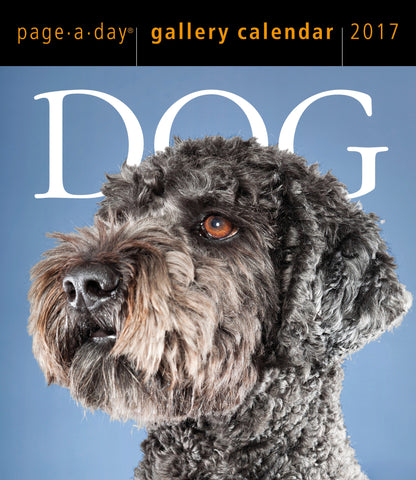 Dog Page-A-Day Gallery Calendar 2017