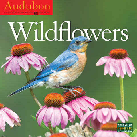 Audubon Wildflowers Wall Calendar 2017