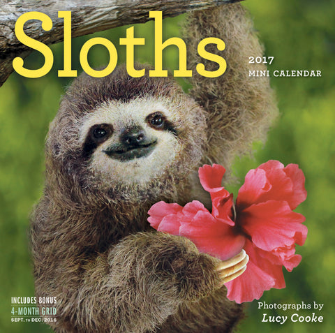 Sloths Mini Wall Calendar 2017