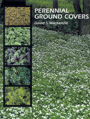 Perennial Ground Covers