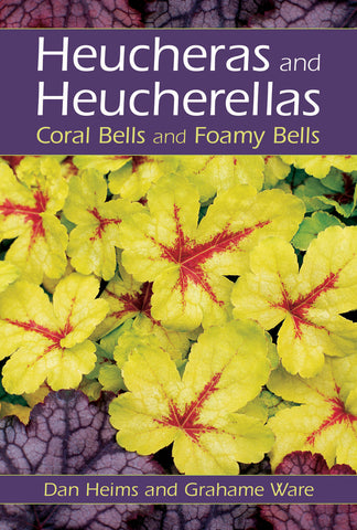 Heucheras and Heucherellas