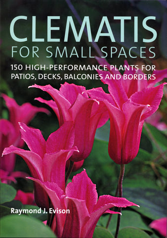 Clematis for Small Spaces
