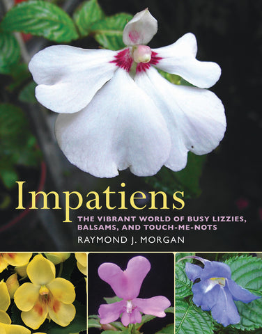 Impatiens