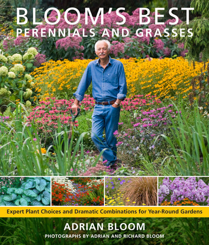 Bloom's Best Perennials and Grasses