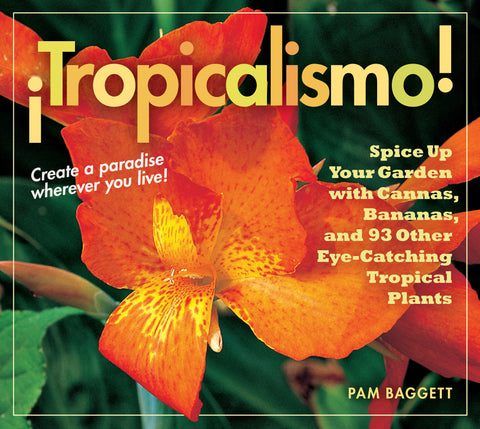 ¡Tropicalismo!