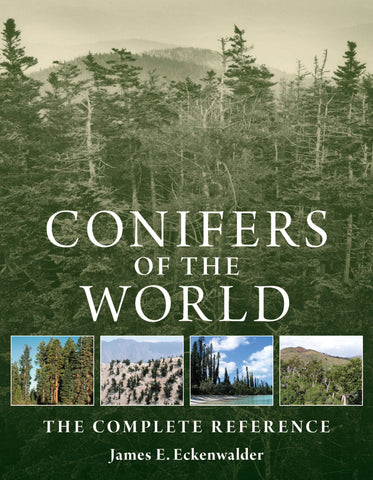 Conifers of the World