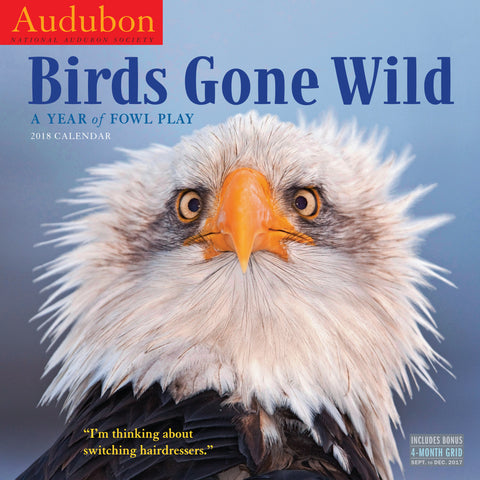 Audubon Birds Gone Wild Wall Calendar 2018