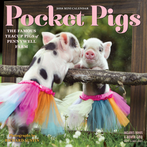 Pocket Pigs Mini Wall Calendar 2018