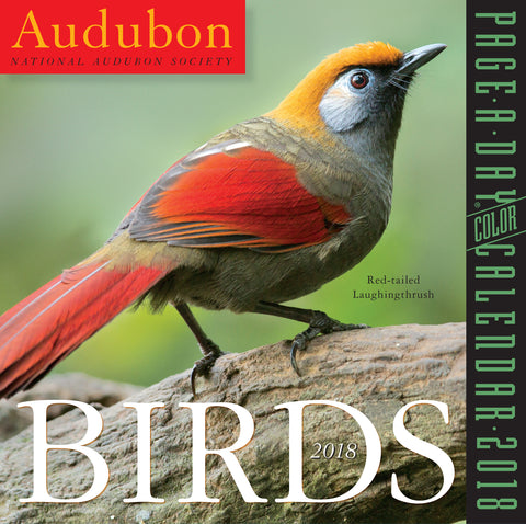 Audubon Birds Page-A-Day Calendar 2018