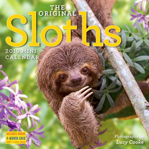 The Original Sloths Mini Wall Calendar 2019
