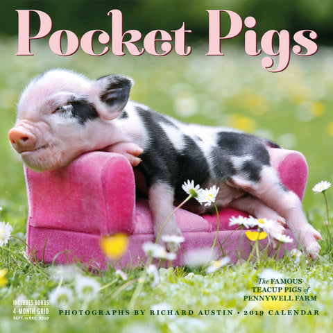 Pocket Pigs Wall Calendar 2019