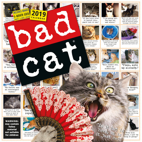 Bad Cat Wall Calendar 2019