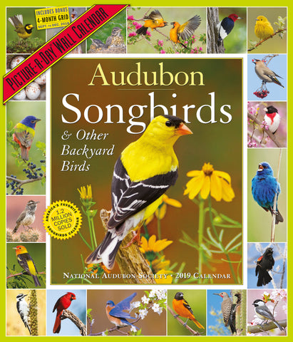 Audubon Songbirds and Other Backyard Birds Picture-A-Day Calendar 2019