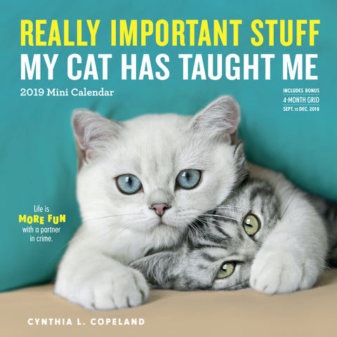Really Important Stuff My Cat Has Taught Me Mini Calendar 2019