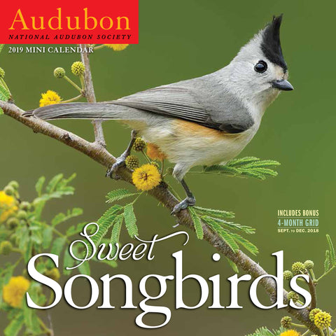 Audubon Sweet Songbirds Mini Wall Calendar 2019
