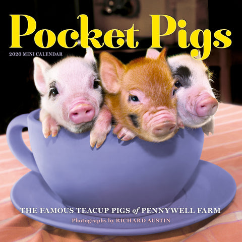 Pocket Pigs Mini Wall Calendar 2020