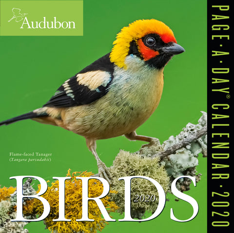 Audubon Birds Page-A-Day Calendar 2020