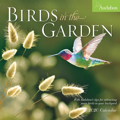 Audubon Birds in the Garden Wall Calendar 2020