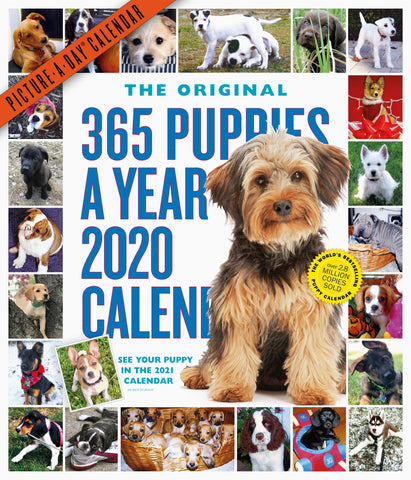 365 Puppies-A-Year Picture-A-Day Wall Calendar 2020