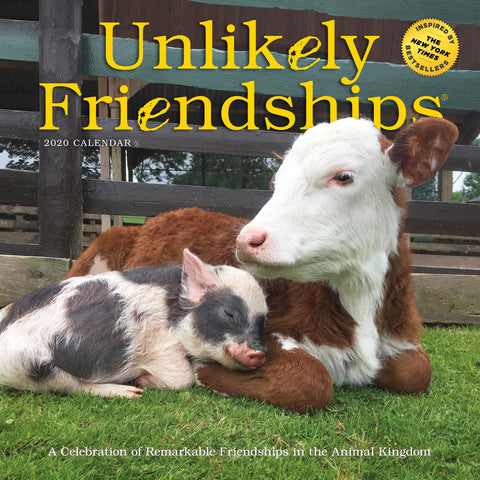 Unlikely Friendships Wall Calendar 2020