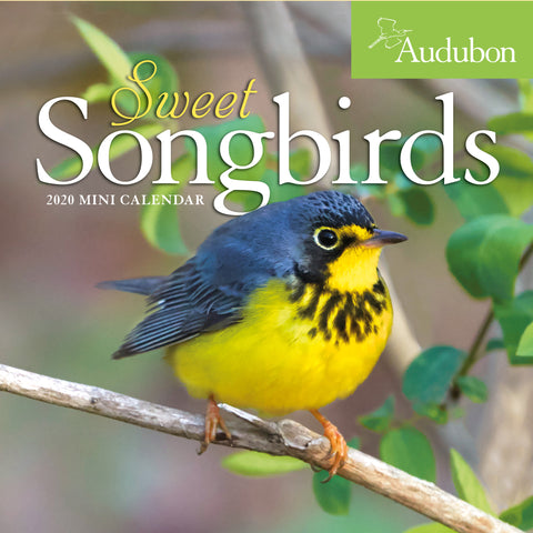 Audubon Sweet Songbirds Mini Wall Calendar 2020