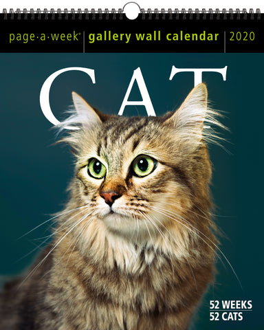 Cat Page-A-Week Gallery Wall Calendar 2020