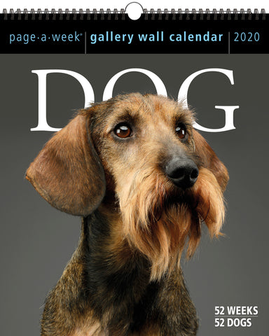 Dog Page-A-Week Gallery Wall Calendar 2020