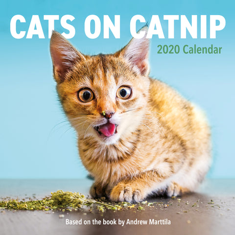 Cats on Catnip Wall Calendar 2020