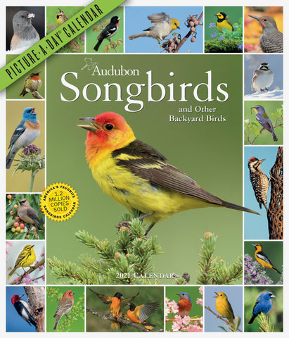 Audubon Songbirds and Other Backyard Birds Picture-A-Day Wall Calendar 2021