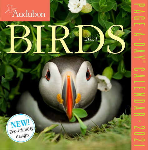 Audubon Birds Page-A-Day Calendar 2021