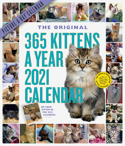 365 Kittens-A-Year Picture-A-Day Wall Calendar 2021