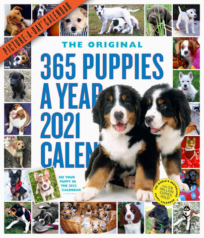 365 Puppies-A-Year Picture-A-Day Wall Calendar 2021