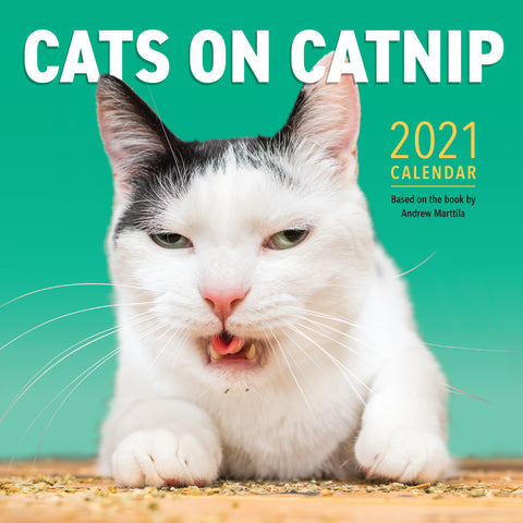 Cats on Catnip Wall Calendar 2021