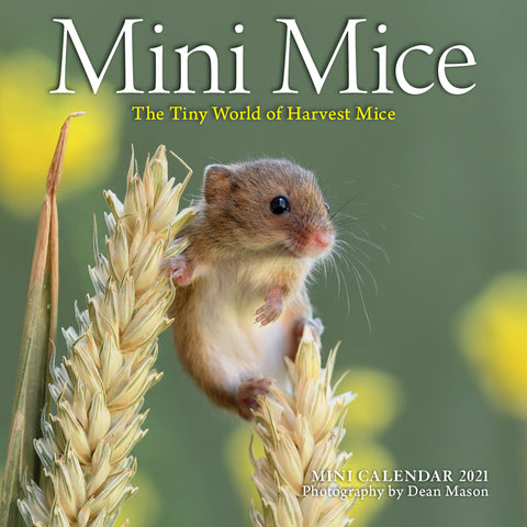 Mini Mice Mini Wall Calendar 2021