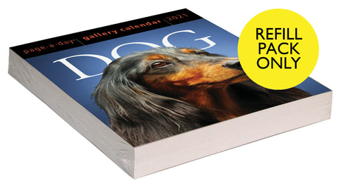 Dog Page-A-Day Gallery Calendar 2021 Refill Pack