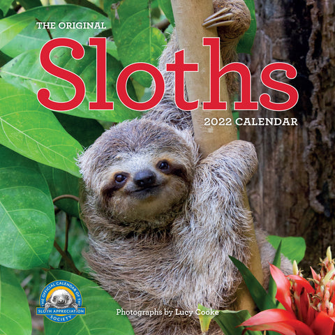 Original Sloths Wall Calendar 2022