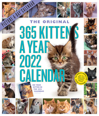 365 Kittens-A-Year Picture-A-Day Wall Calendar 2022