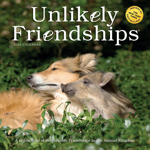 Unlikely Friendships Wall Calendar 2022