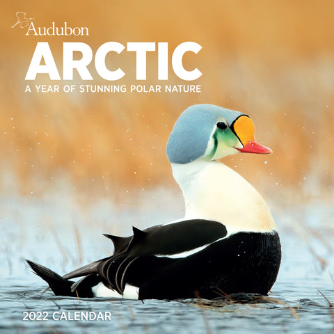 Audubon Arctic Wall Calendar 2022
