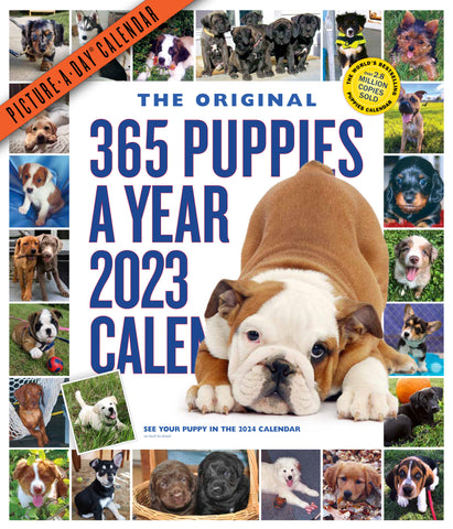 365 Puppies-A-Year Picture-A-Day Wall Calendar 2023
