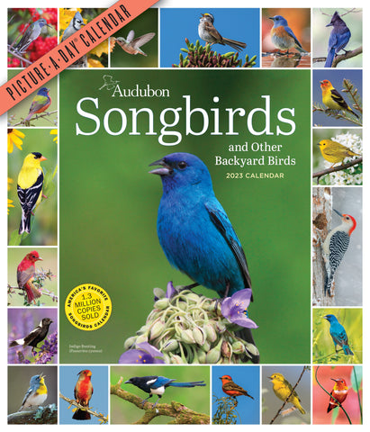 Audubon Songbirds and Other Backyard Birds Picture-A-Day Wall Calendar 2023