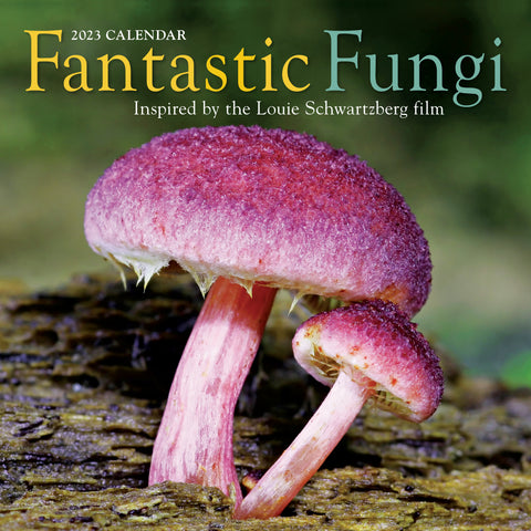 Fantastic Fungi Wall Calendar 2023