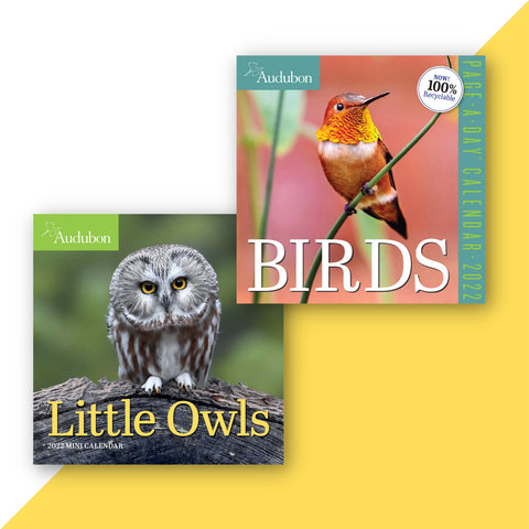 National Audubon Society Bird Calendar Collection
