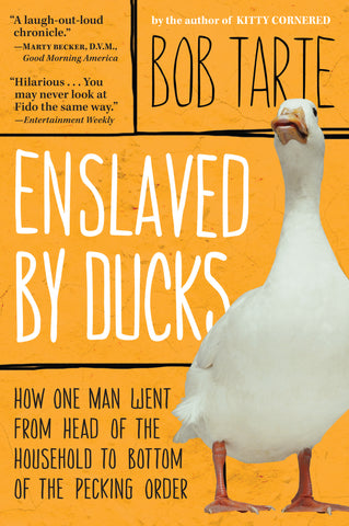 Enslaved by Ducks