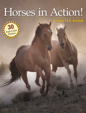 Horses in Action!: A Poster Book