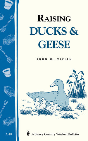 Raising Ducks & Geese