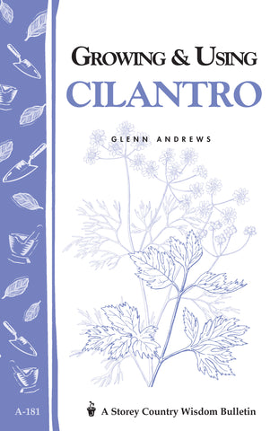 Growing & Using Cilantro