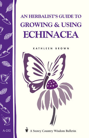 An Herbalist's Guide to Growing & Using Echinacea