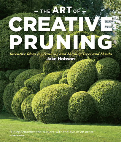 The Art of Creative Pruning